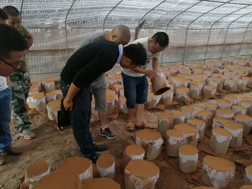 1506679184100685.jpg 01.jpg