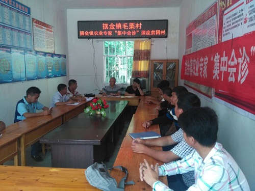 1506679200555669.jpg 03.jpg